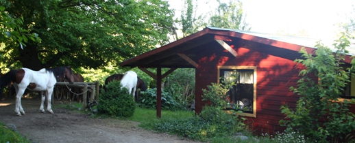 Reiten in Patagonien - Ferienhaus am Sattelplatz auf Antilco dem Pferdehof